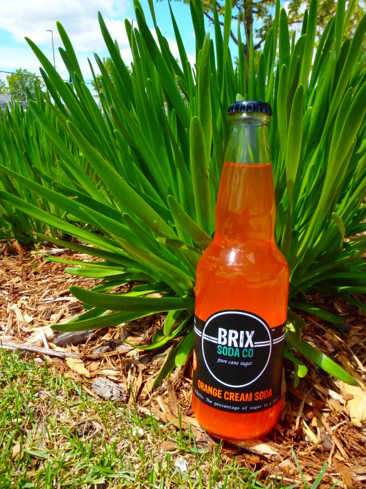 Brix Soda Orange Cream Soda hiding in the bushes